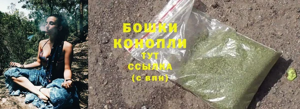mdpv Михайловск