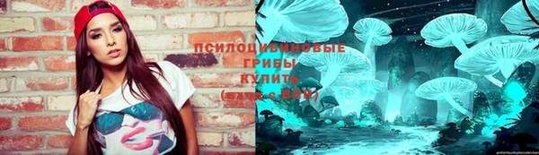 прущий лед Армянск