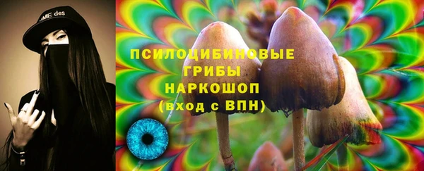 spice Аркадак