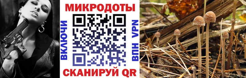 Галлюциногенные грибы Psilocybine cubensis  darknet формула  OMG рабочий сайт  Тюкалинск  где продают наркотики 